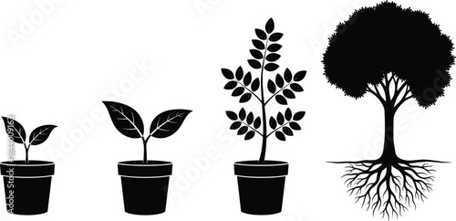 Silhouette illustration showing stages of plant growth from small sprout to mature tree with roots representing development, nature, sustainability and life cycle