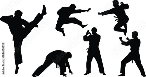 Martial arts fighters silhouette collection, karate taekwondo kung fu action poses, combat sports training illustration, isolated black figures dynamic kick punch movements