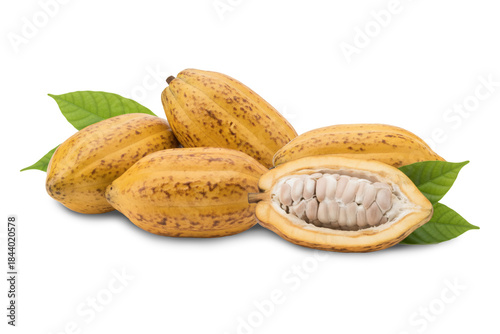 Fresh Cocoa Pods and Beans with Green Leaves