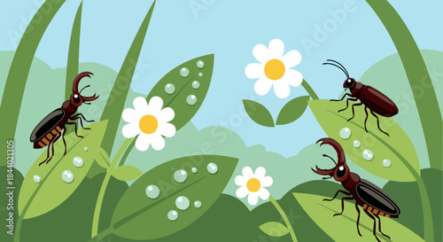 Stag beetles and other insects on green leaves with white flowers.