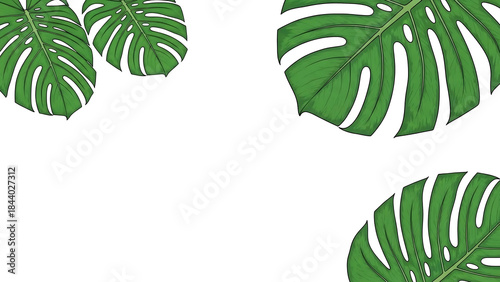 Monstera leaf isolated on transparent background png generative ai
