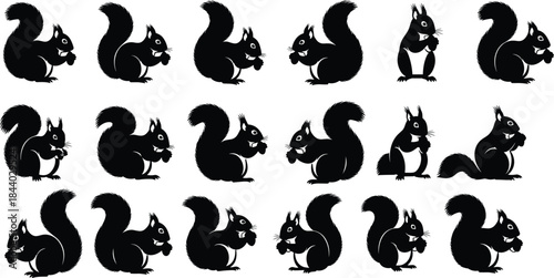 Cute squirrel silhouette set in multiple poses isolated on white background, playful woodland animal illustration for design and decoration