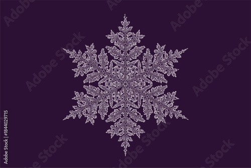 Intricate Snowflake Design, Digital Illustration, Cool Color Palette, Artistic Expression, Abstract Environment
