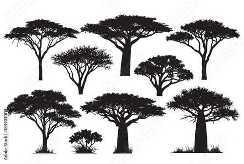 Stunning African savanna tree silhouettes create a sense of adventure, perfect for nature-themed projects or adding a touch of wild beauty to your designs