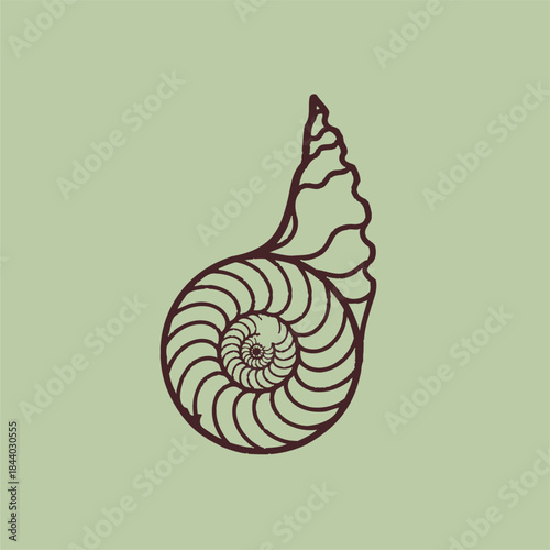 Spiral Seashell, Minimalist Design, Marine Life Art, Calm Environment, Artistic Viewpoint