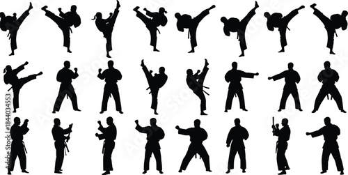 Martial arts fighter silhouettes set showing karate and taekwondo kicks, punches and combat poses isolated on white background illustration