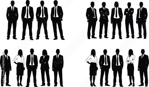 Professional business team silhouettes standing in organized groups, representing corporate teamwork, leadership diversity, office collaboration, and modern workplace unity concepts