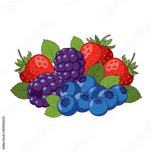 Vibrant Assortment of Fresh Berries Strawberries, Blueberries, and Blackberries Illustration