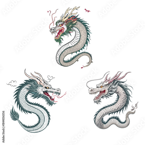 Collection of three mythical Chinese dragons in artistic illustration