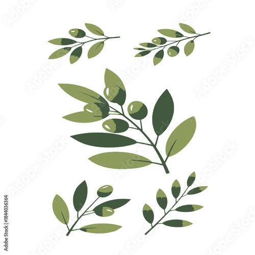 Green olive branches with leaves and olives in flat design style