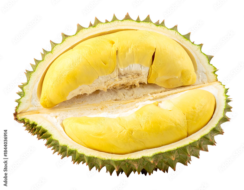Fototapeta premium Durian Fruit Cut Open Exotic Tropical Food King of Fruits.
