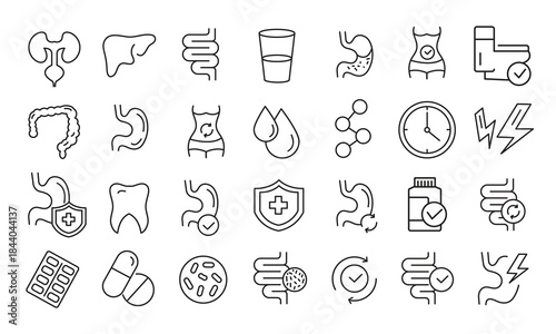 Digestive System Icons Collection – Stomach, Intestine, and Probiotics Symbols,Healthy Gut and Digestion Icons – Editable Outline Vector Set
