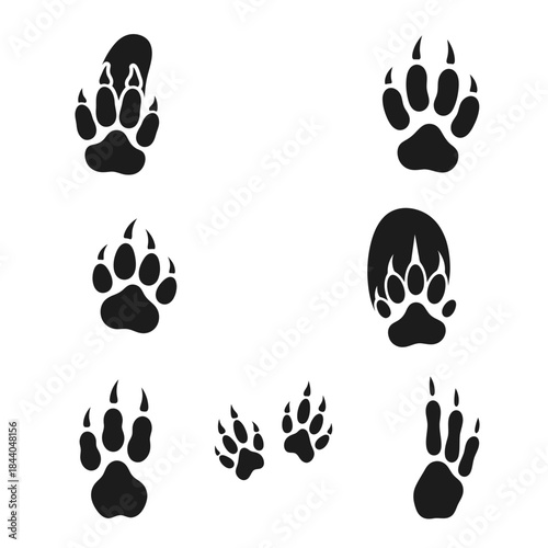 Diverse animal paw prints showcasing unique textures and sizes for natural exploration and wildlife design projects