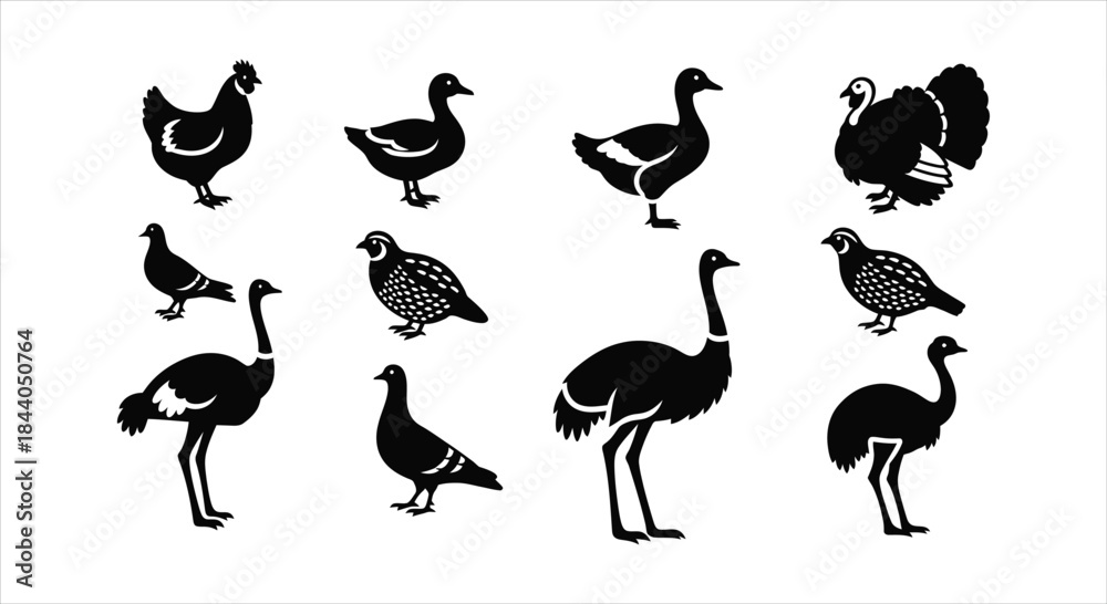 Obraz premium Diverse Black Silhouette Icons of Poultry, Game Birds, and Large Avian Species Set