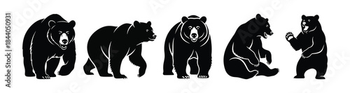 Collection of Five Black Silhouette Bear Poses with White Outline