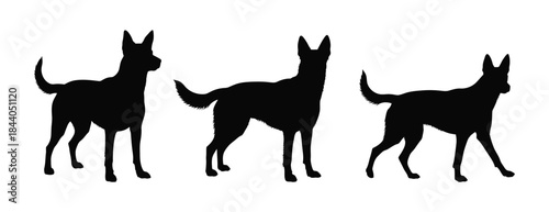 Three Silhouettes of a Dog Standing in Profile View