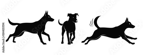 Silhouettes of three dogs in motion, side profile, black and white