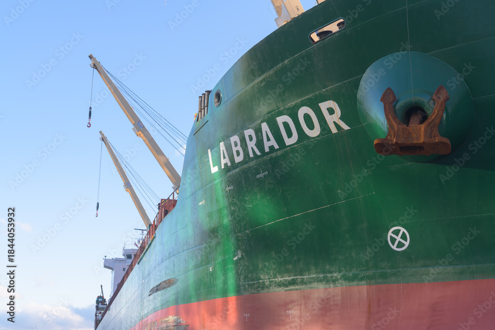 Naklejka premium view of Labrador, a bulk cargo carrier docked at Lower Jarvis Slip, next to Redpath Sugar Refinery, near 95 Queens Quay E, Toronto