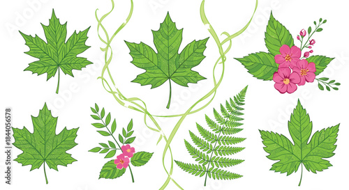 A beautiful assortment of green leaves, including distinct maple and fern foliage, complemented by charming pink blossoms and decorative swirls.