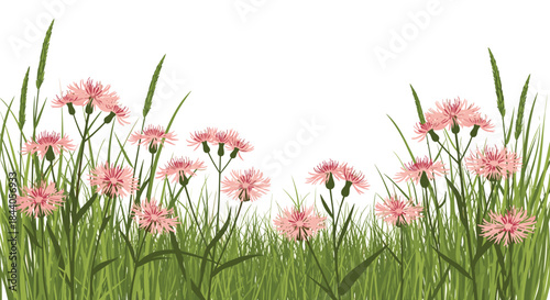 Delicate pink wildflowers bloom in lush green grass, creating a vibrant natural border against a clean white background.