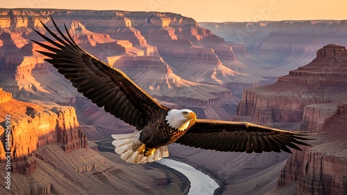 Realistic wildlife photography american raptor eagle in powerful natural tones with dramatic wings and sharp vision flying freely for wildlife conservation nature education editorial and commercial