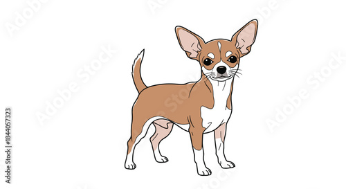 A sweet, alert chihuahua dog with tan and white markings and prominent ears stands on a white background, ready for attention.
