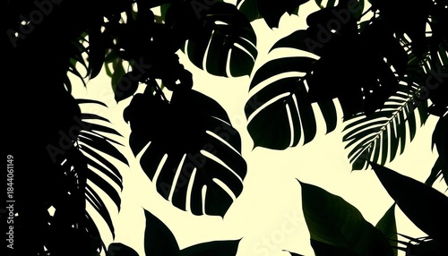 Dark silhouettes of various tropical leaves against a bright background,  abstract,  shape
