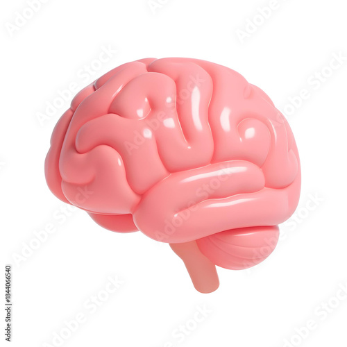 Stylized 3D render of the human brain's cerebrum, representing thought, intelligence, and neurological function.