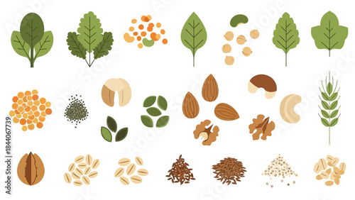Superfood Collection: Healthy Plant-Based Nuts, Seeds, Grains, and Leafy Greens for Balanced Nutrition
