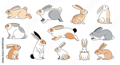 Various adorable cartoon rabbit characters illustrated in different positions and fur patterns, perfect for spring or Easter designs.