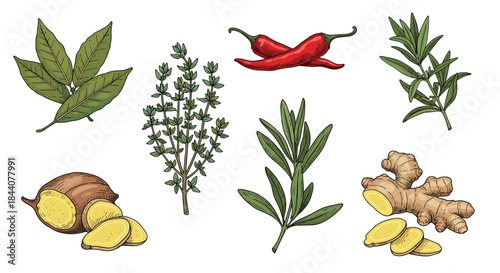 An illustrative collection of fresh culinary herbs, spices, and root vegetables like bay leaves, thyme, red chili, rosemary, sweet potato, and ginger.