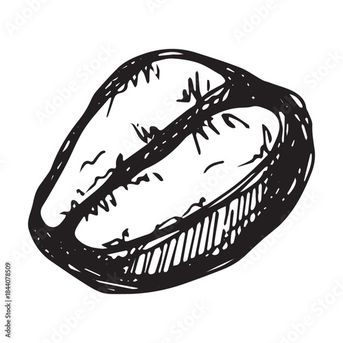 Hand drawn fresh roasted coffee bean Arabica robusta seed doodle Single element for print, web, design, decor