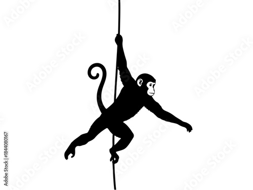 A black silhouette of a monkey hanging from a vertical pole with its arms and legs.