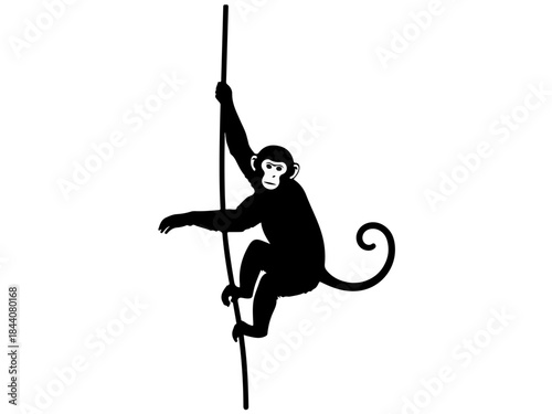 A black silhouette of a monkey climbing a vertical pole with its limbs wrapped around it.
