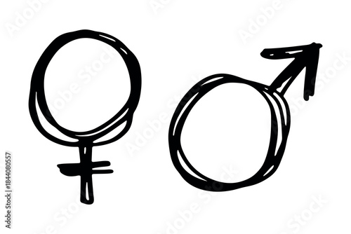 Hand drawn female and male gender identity sign Symbol used to represent sex and gender Single element for print, web, design, decor