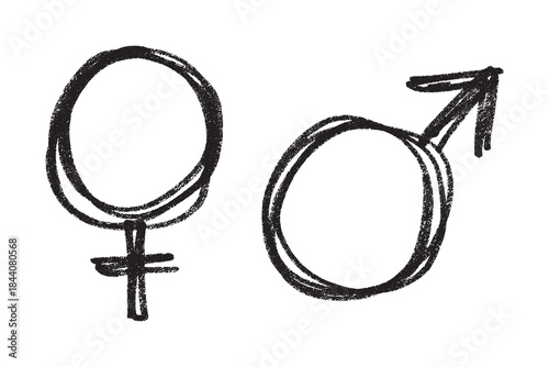 Hand drawn female and male gender identity sign Symbol used to represent sex and gender Single element for print, web, design, decor
