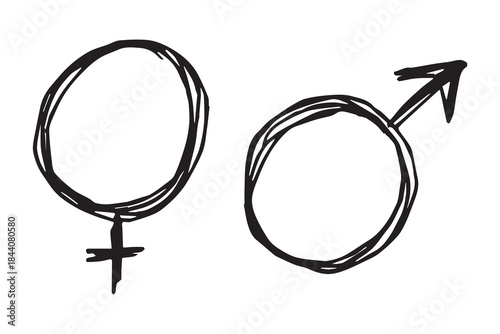 Hand drawn female and male gender identity sign Symbol used to represent sex and gender Single element for print, web, design, decor