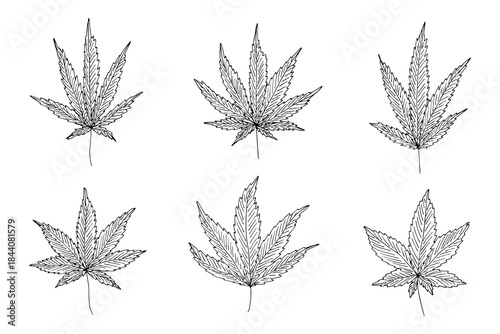Set of hand drawn cannabis leaf Medicine marijuana Hemp leaves clipart in doodle style Single element for print, web, design, decor