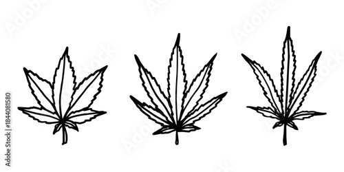 Set of hand drawn cannabis leaf Medicine marijuana Hemp leaves clipart in doodle style Single element for print, web, design, decor
