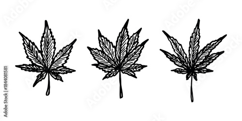 Set of hand drawn cannabis leaf Medicine marijuana Hemp leaves clipart in doodle style Single element for print, web, design, decor