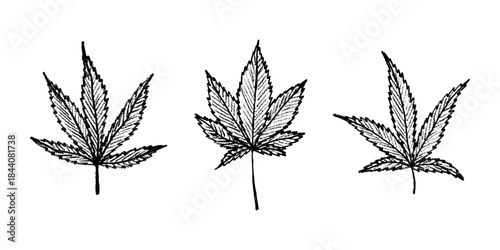 Set of hand drawn cannabis leaf Medicine marijuana Hemp leaves clipart in doodle style Single element for print, web, design, decor