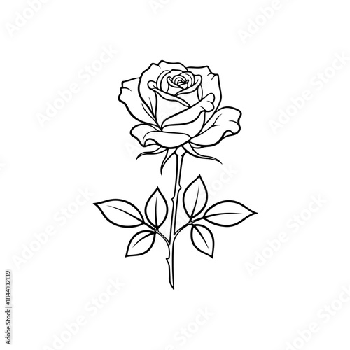 Line art illustration of a single rose flower with stem and leaves, ideal for coloring books, designs, and elegant floral motifs. isolated on transparent background