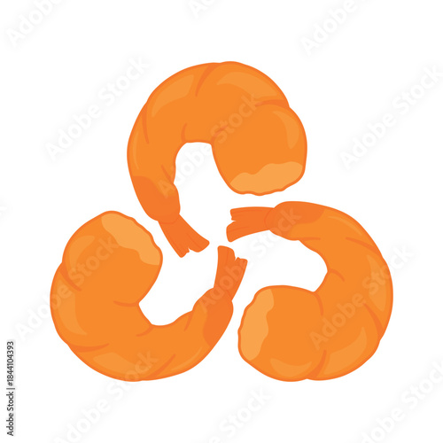 Cooked Shrimp Prawn Closeup Vector Illustration