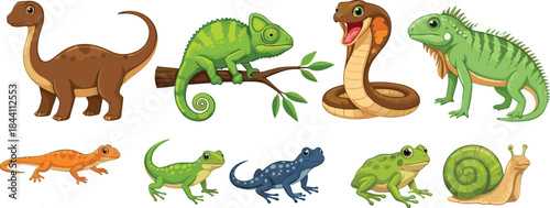 Cartoon reptiles and amphibians vector set featuring lizard, chameleon, snake, iguana, frog, salamander and snail illustrations