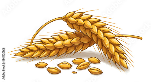 Realistic Golden Wheat Ears with Grains – Detailed Harvest Illustration for Agriculture, Bakery, Cereal, and Organic Food Design