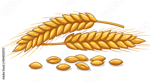 Golden Wheat Ears with Grains Illustration – Harvest Cereal Crop for Agriculture, Bakery, and Organic Food Branding