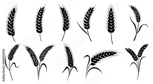 Wheat Ear Silhouette Set – Hand-Drawn Grain Stalk Variations for Agriculture, Harvest, Bakery, and Organic Food Design