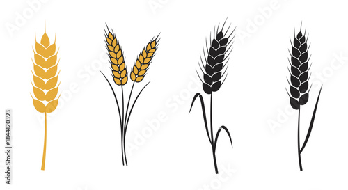 Stylized Wheat Ear Illustration Set – Golden and Black Grain Icons for Agriculture, Bakery, Harvest, and Organic Food Design