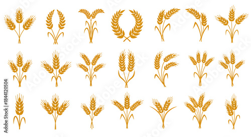 A collection of various golden wheat and grain illustrations, depicting different stylized bundles and stalks of cereal crops, suitable for agricultural and food-related designs.