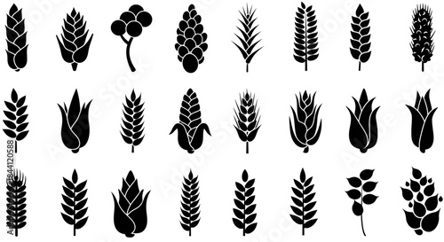 A diverse collection of black silhouette icons representing various agricultural crops and grains.
